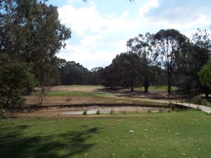 3rd-tee